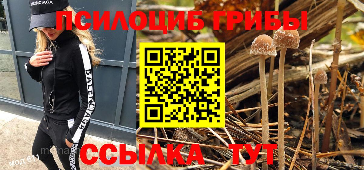 Псилоцибиновые грибы ЛСД Кизляр