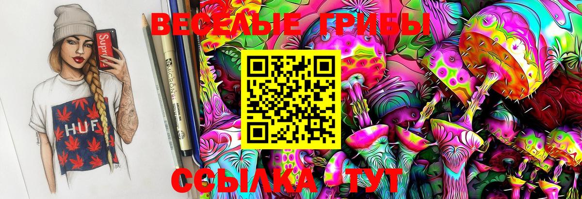 Кизляр  Галлюциногенные грибы MAGIC MUSHROOMS  Вход с VPN 